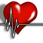 cardiac-156059_1280